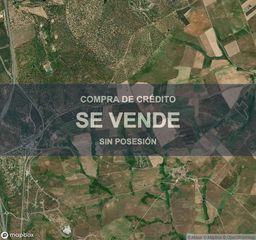 Residential Plot in Buenavista. Compra de crédito  terreno en buenavista