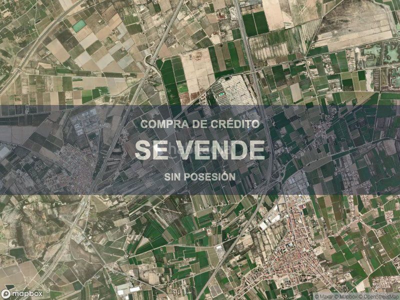 Foto e265cd4a-efbe-4267-88da-7333e4d71386. Pis a Catral
