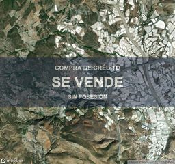 Pis a Castell de Ferro. Compra de crédito  inmueble en gualchos