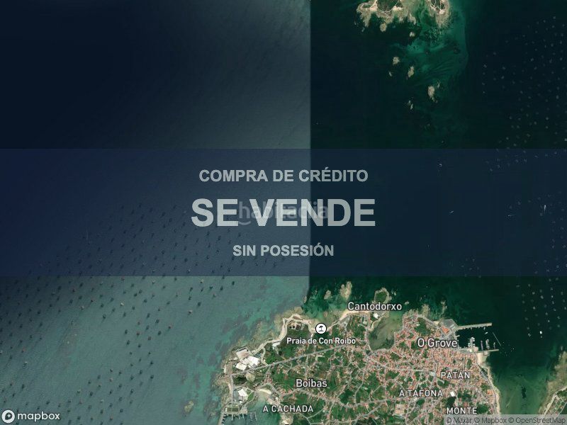 Foto 63d07069-eb76-4163-86e5-fcbd83e99d14. Pis a Grove (O)