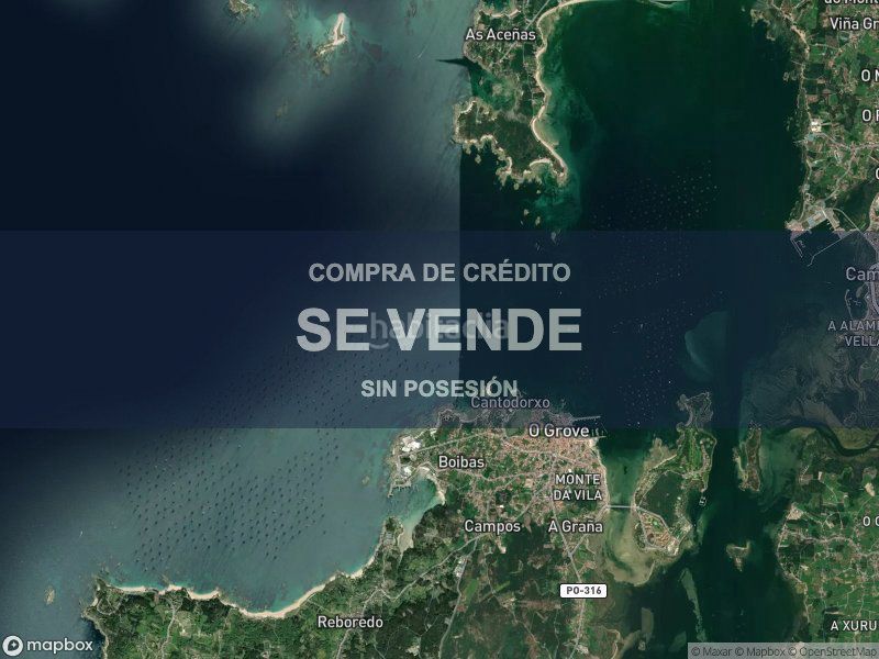 Foto 6857aabc-1419-4a5f-8bf6-d8d8cae437c0. Pis a Grove (O)