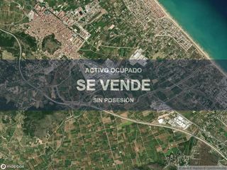 Pis a Oliva Pueblo