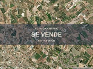 Pis a Torre-Pacheco. Compra directa  inmueble en torrepacheco