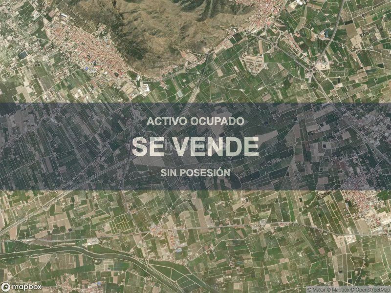 Foto 28e86149-4a20-4510-b26c-88eb0115944d. Pis a Redován