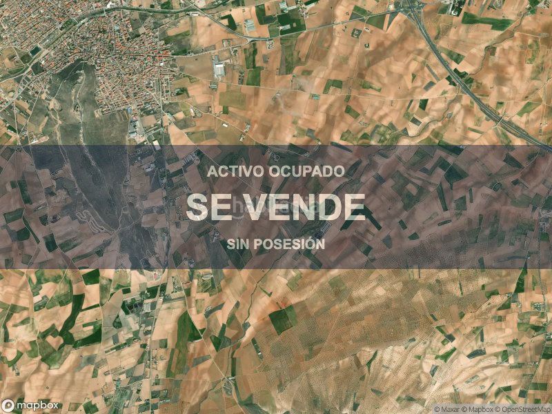 Foto fcd02700-85c2-43d3-af57-f83f3f4d31be. Pis a Consuegra