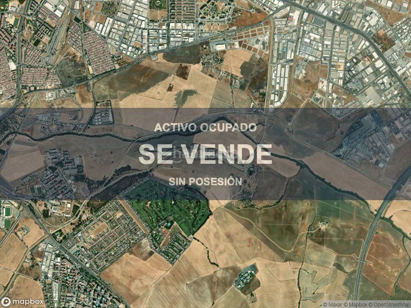 Foto 78b9a310-47cc-4ca1-afcf-22c56c6f6319. Pis a Palmete Sevilla