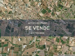 Pis a Torre-Pacheco