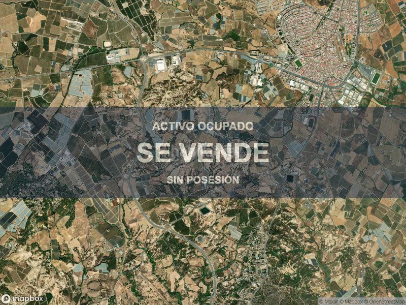 Foto bb29af1d-3c24-4fff-91c3-dd54b8fae371. Pis a Lepe
