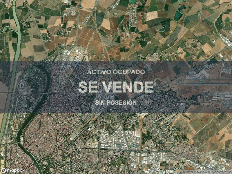 Foto 1945d112-9b35-47b0-8e7d-cfcdfeed0b0b. Pis a Pino Montano - Consolación Sevilla