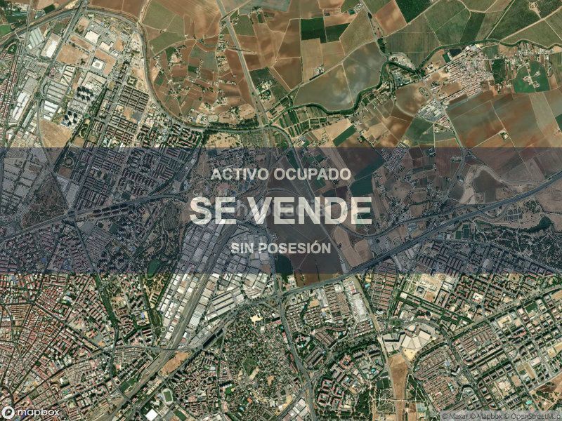 Foto 22f9176f-5abb-45c0-825d-647095318755. Pis a Pino Montano - Consolación Sevilla
