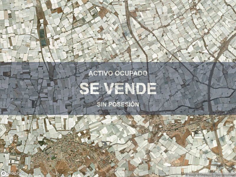 Foto cee6f3fa-ed9f-43a6-994f-fe463e2009b1. Pis a Mojonera (La)