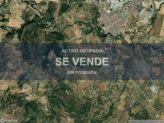 Pis a Centro