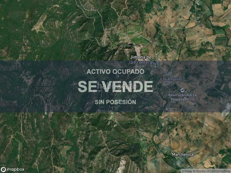Foto a21a3fc1-1ffa-49df-b82c-ca6506aaf037. Pis a Jimena de la Frontera