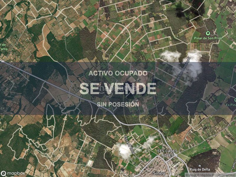 Foto 16f62641-12df-4d2d-b966-acd64d160ed0. Pis a Llubí