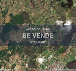 Pis a Llubí. Compra directa  inmueble en llubí