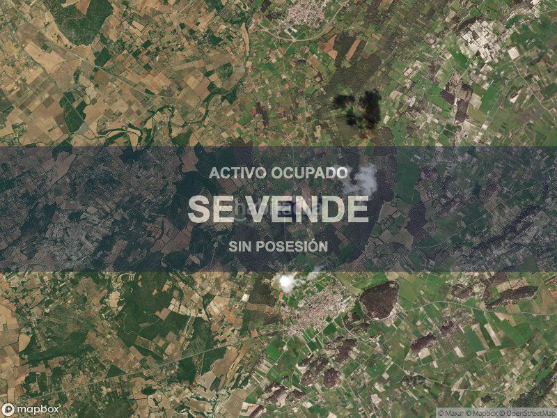 Foto b057e8ac-33f2-4901-9654-a46ee70e3b5f. Pis a Llubí