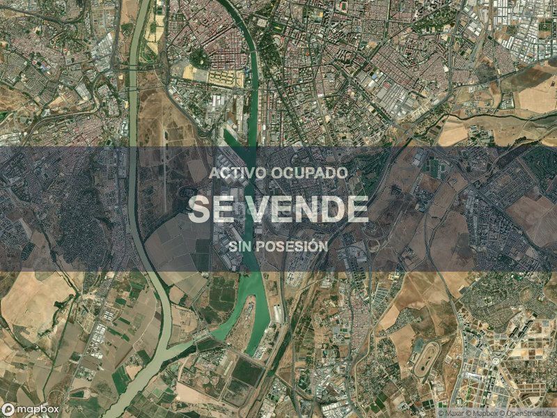 Foto af7a5c80-9e97-4da4-80e5-24a2f2102d3b. Pis a La Oliva Sevilla