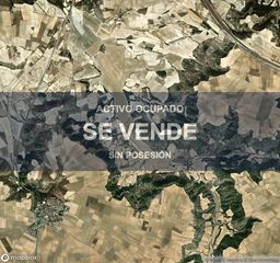Pis a Ciruelos. Compra directa  inmueble en ciruelos, toledo