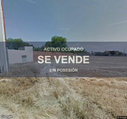 Pis a Ciruelos
