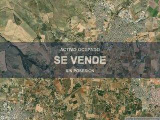 Local Comercial a Olivares. Compra directa  inmueble en olivares