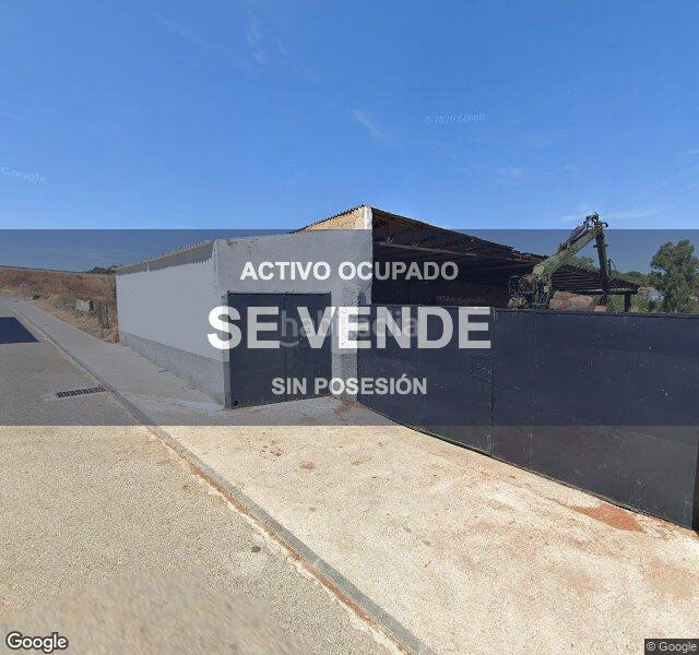 Foto 80acc3f4-4a0b-4645-b3be-8cc6834ade3e. Pis a Monesterio