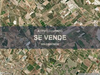 Pis a Torre-Pacheco