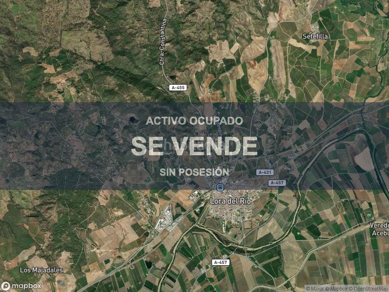 Foto cc0627f4-7899-401e-bec2-52187473403d. Pis a Lora del Río