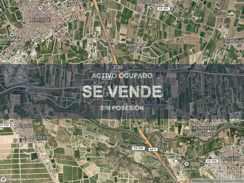 Foto ac802907-b4dd-4cbe-92bb-39c6233bc63f. Pis a Almoradí