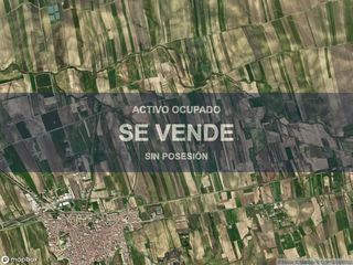 Pis a Palma del Condado (La). Compra directa  inmueble en la palma del condado