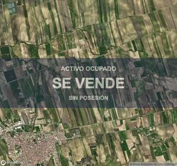 Pis a Palma del Condado (La). Compra directa  inmueble en la palma del condado