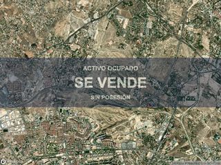Pis a Virgen del Remedio - Parque Lo Morant