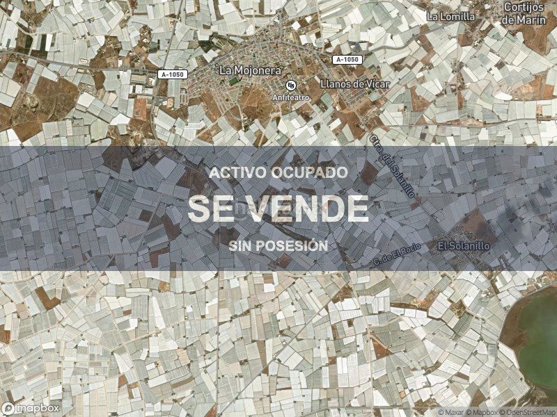 Foto 30cc6d37-16a0-4d44-8994-4ea09439960b. Pis a Mojonera (La)