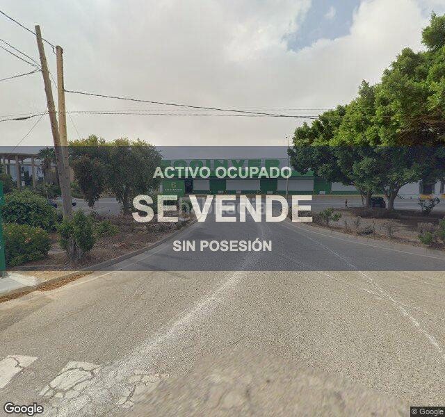 Foto eab5ba44-6bc3-4175-bcac-773dc8d33e0b. Pis a Mojonera (La)