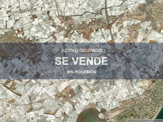 Local Comercial a Carretera Mojonera - Cortijos de Marín. Compra directa  inmueble en roquetas de mar