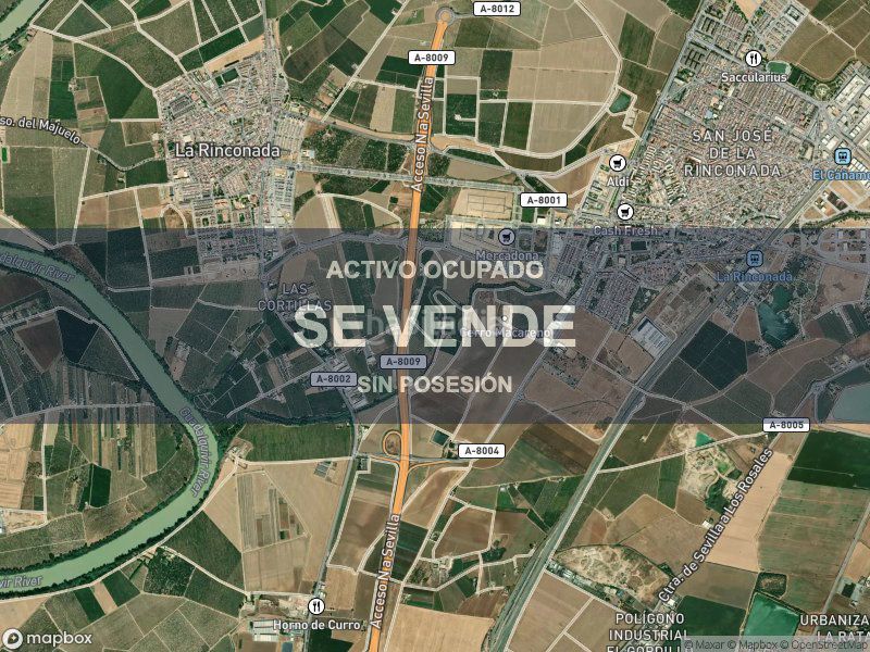 Foto 0cb64fdb-94d7-4d81-8863-353881abc1bc. Pis a Rinconada (La)