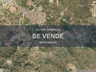 Pis a La Unión