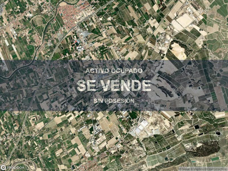 Foto daad024e-1757-4f25-ac2f-bf843c87e76d. Pis a Beniel