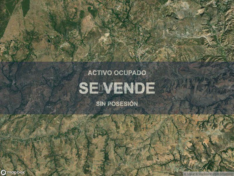 Foto bcdf7802-9c1f-4a08-89d8-3148436873f1. Pis a Cádiar