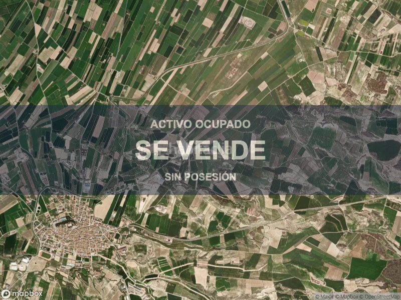 Foto eb1bc964-ebf3-42e5-928f-b92ddc543559. Pis a Arbeca