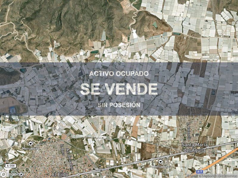 Foto e7e42ce1-7688-42c2-ab1c-952b18965c39. Pis a Plaza de la Luz Ejido (El)