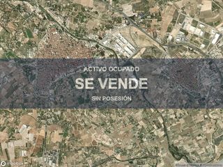 Pis a Novelda. Compra directa  inmueble en novelda