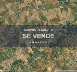 Pis a Carmona
