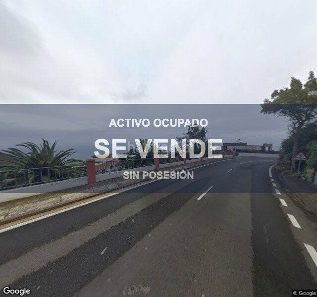 Foto 47395a50-7e95-4ac0-8c7d-6dd15870f9da. Pis a Garachico