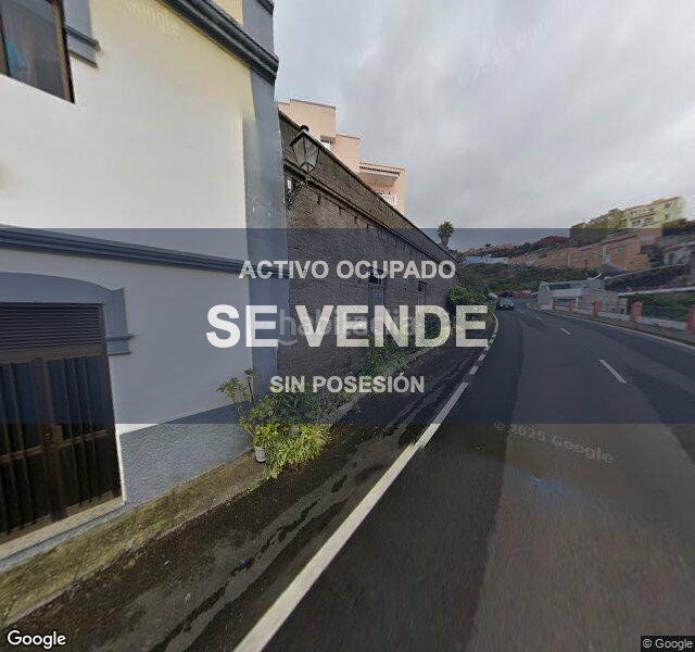Foto 8397cf92-46e9-4d62-8a43-e7aa41d1f425. Pis a Garachico