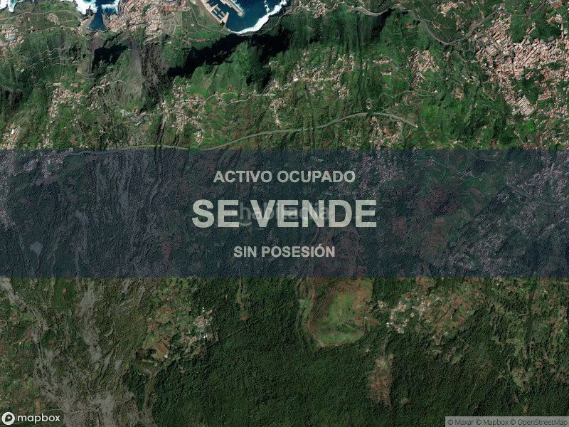 Foto dc0df5bb-6a69-4a77-84f1-e54d8bca429c. Pis a Garachico