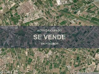 Pis a Dolores. Compra directa  inmueble en dolores, alicante