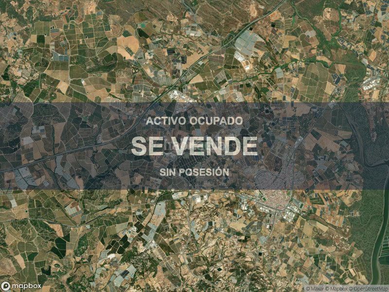 Foto ceaf48b1-19ca-4320-b605-eaa91410e36c. Pis a Lepe
