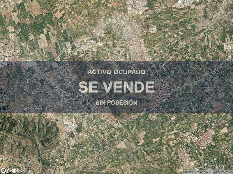 Foto 7ca5499c-10e8-424b-837e-aaa2743ff759. Pis a Redován