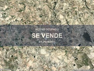Pis a Fortuna. Compra directa  inmueble en fortuna