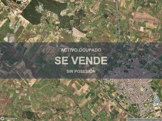 Local Comercial a Almonte